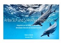 Vorderes Coverbild Integration von MDG-BP (Lieferant) mit SAP Ariba Supplier Lifecycle and Performance (SLP) im Rahmen des Business Partnering-Prozesses