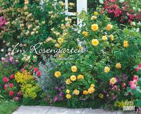 Vorderes Coverbild DUMONT - Im Rosengarten 2025 Wandkalender, 52x42,5cm, Garten-Kalender mit eindrucksvollen Rosen-Motiven aus verschiedensten Gärten, deutsches Kalendarium, mit Spiralbindung