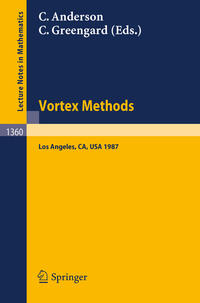 Vorderes Coverbild Vortex Methods