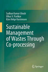 Vorderes Coverbild Sustainable Management of Wastes Through Co-processing