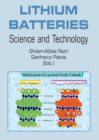 Vorderes Coverbild Lithium Batteries