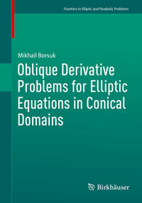 Vorderes Coverbild Oblique Derivative Problems for Elliptic Equations in Conical Domains