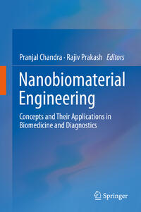 Vorderes Coverbild Nanobiomaterial Engineering