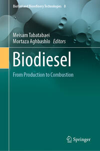 Vorderes Coverbild Biodiesel