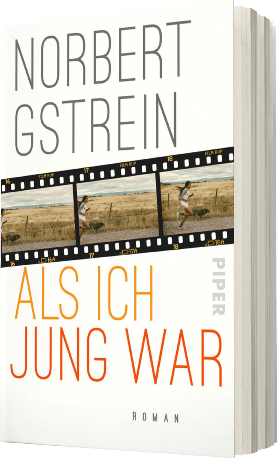 Anderes Coverbild Als ich jung war