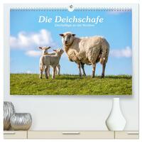 Vorderes Coverbild Die Deichschafe. Deichpflege an der Nordsee (hochwertiger Premium Wandkalender 2025 DIN A2 quer), Kunstdruck in Hochglanz