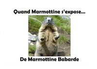 Vorderes Coverbild Quand Marmottine s'expose