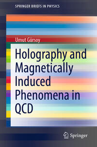 Vorderes Coverbild Holography and Magnetically Induced Phenomena in QCD
