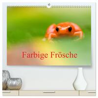 Vorderes Coverbild Farbige Frösche (hochwertiger Premium Wandkalender 2025 DIN A2 quer), Kunstdruck in Hochglanz