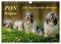 Vorderes Coverbild PON - Welpen, jeder Tag ein großes Abenteuer (Wandkalender 2025 DIN A4 quer), CALVENDO Monatskalender