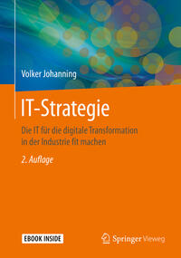 Vorderes Coverbild IT-Strategie