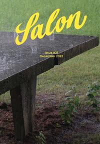 Vorderes Coverbild Salon 21