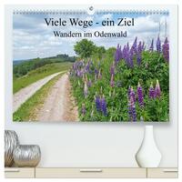 Vorderes Coverbild Viele Wege - ein Ziel Wandern im Odenwald (hochwertiger Premium Wandkalender 2025 DIN A2 quer), Kunstdruck in Hochglanz