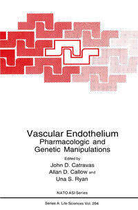 Vorderes Coverbild Vascular Endothelium