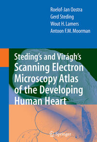 Vorderes Coverbild Steding's and Virágh's Scanning Electron Microscopy Atlas of the Developing Human Heart