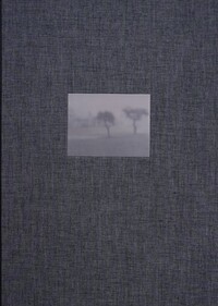 Vorderes Coverbild Halb geöffnete Fenster