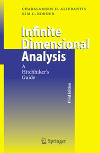 Vorderes Coverbild Infinite Dimensional Analysis
