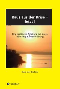 Vorderes Coverbild Raus aus der Krise - Jetzt !