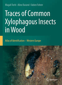 Vorderes Coverbild Traces of Common Xylophagous Insects in Wood