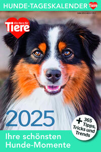 Vorderes Coverbild Hunde Tageskalender 2025