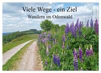 Vorderes Coverbild Viele Wege - ein Ziel Wandern im Odenwald (Wandkalender 2025 DIN A2 quer), CALVENDO Monatskalender
