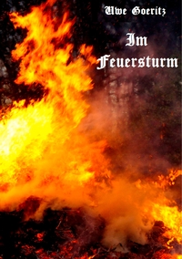 Vorderes Coverbild Im Feuersturm
