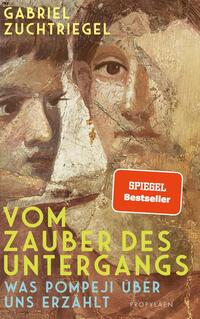Vorderes Coverbild Vom Zauber des Untergangs