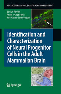 Vorderes Coverbild Identification and Characterization of Neural Progenitor Cells in the Adult Mammalian Brain