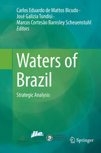 Vorderes Coverbild Waters of Brazil