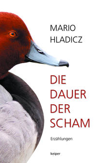 Vorderes Coverbild Die Dauer der Scham