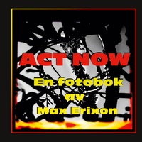 Vorderes Coverbild ACT NOW