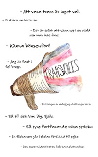 Vorderes Coverbild Transvoices