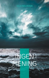 Vorderes Coverbild Ingen mening