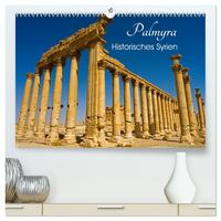 Vorderes Coverbild Palmyra - Historisches Syrien (hochwertiger Premium Wandkalender 2026 DIN A2 quer), Kunstdruck in Hochglanz