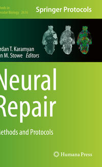 Vorderes Coverbild Neural Repair