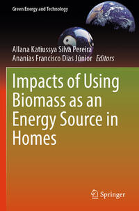Vorderes Coverbild Impacts of Using Biomass as an Energy Source in Homes