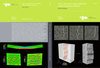 Vorderes Coverbild Micro- and meso-scale modeling of dental composite materials