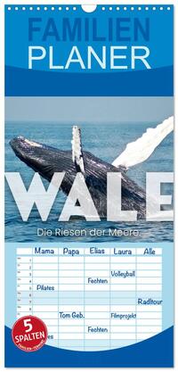 Vorderes Coverbild Familienplaner 2026 - Wale - Die Riesen der Meere. mit 5 Spalten (Wandkalender, 21 x 45 cm) CALVENDO