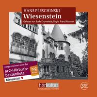 Vorderes Coverbild Wiesenstein