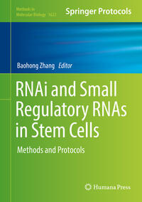 Vorderes Coverbild RNAi and Small Regulatory RNAs in Stem Cells