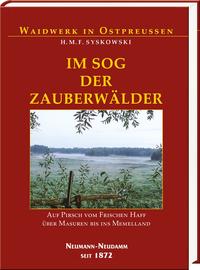 Vorderes Coverbild Im Sog der Zauberwälder