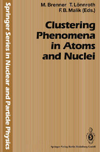 Vorderes Coverbild Clustering Phenomena in Atoms and Nuclei