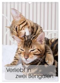 Vorderes Coverbild Verliebt in zwei Bengalen (Wandkalender 2026 DIN A3 hoch), CALVENDO Monatskalender