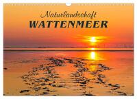 Vorderes Coverbild Naturlandschaft WATTENMEER (Wandkalender 2025 DIN A3 quer), CALVENDO Monatskalender