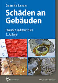 Vorderes Coverbild Schäden an Gebäuden