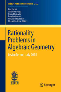 Vorderes Coverbild Rationality Problems in Algebraic Geometry