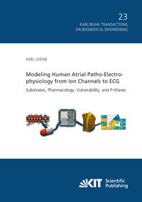 Vorderes Coverbild Modeling Human Atrial Patho-Electrophysiology from Ion Channels to ECG - Substrates, Pharmacology, Vulnerability, and P-Waves