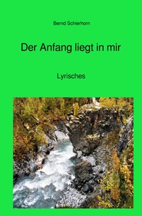Vorderes Coverbild Der Anfang liegt in mir