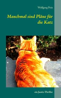 Vorderes Coverbild Manchmal sind Pläne für die Katz