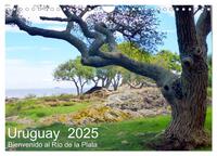 Vorderes Coverbild Uruguay - Bienvenido al Río de la Plata (Wandkalender 2025 DIN A4 quer), CALVENDO Monatskalender